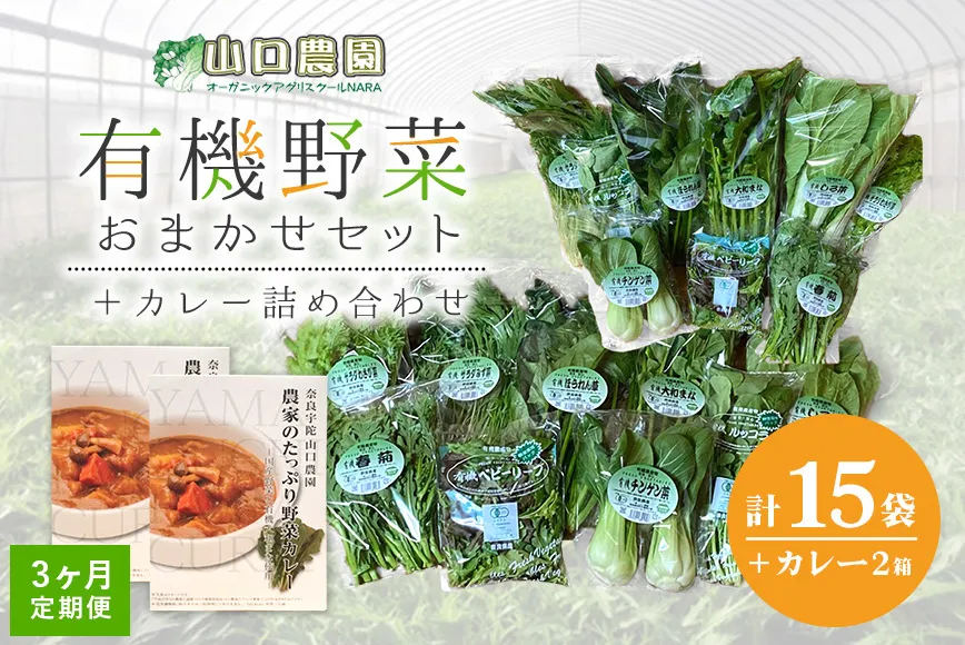 定期便 ３ヶ月 山口農園 有機野菜 おまかせセット＋カレー２箱 詰合せ 冷蔵 月１回 ／山口農園 有機野菜 伝統野菜 オーガニック ベジタリアン 定期便 カレー 無農薬 野菜セット 送料無料 無農薬 農家直送 ふるさと納税 詰め合わせ 奈良県 宇陀市 ふるさと納税