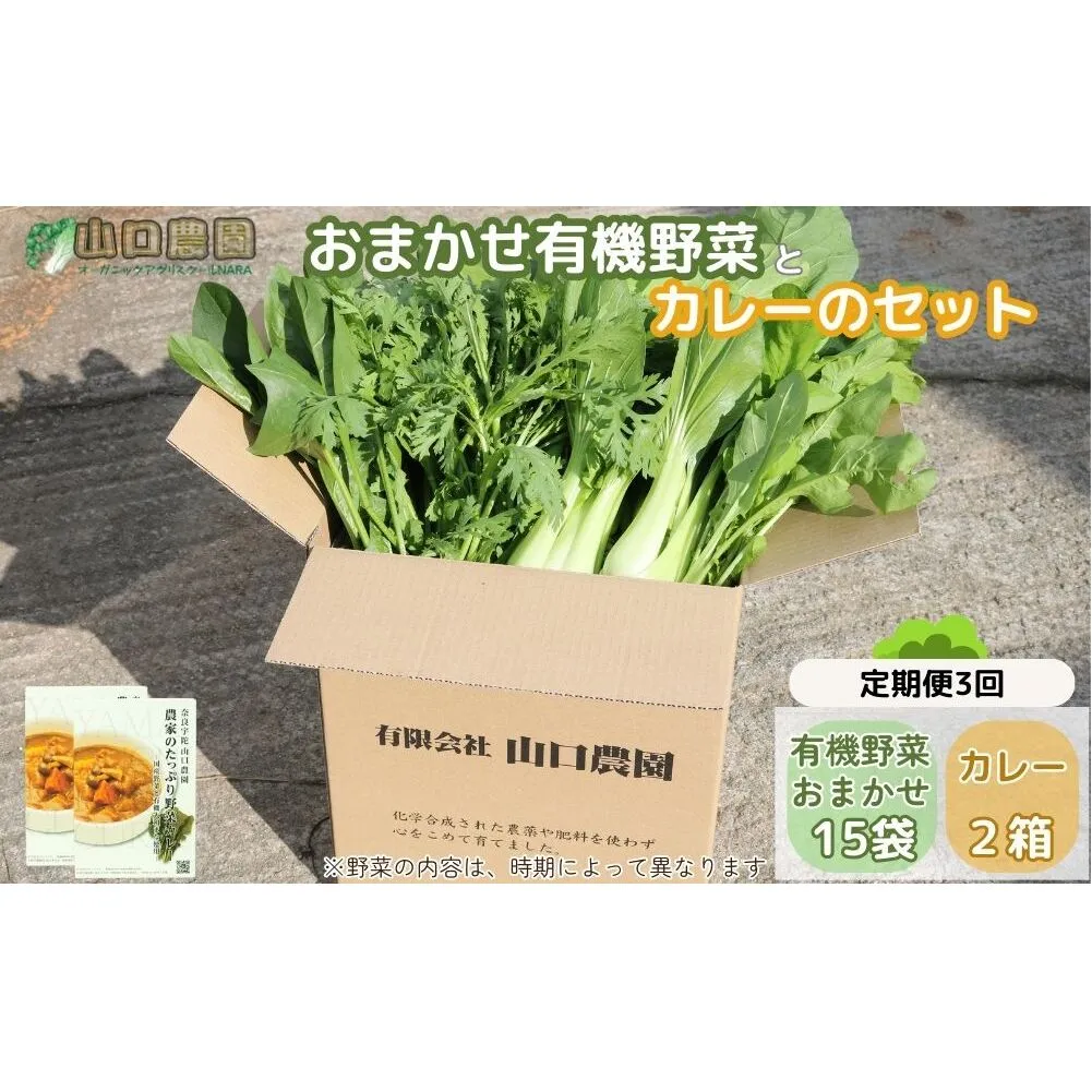 定期便 3ヶ月 山口農園 有機野菜 おまかせセット+カレー2箱 詰合せ 冷蔵 月1回 /ふるさと納税 山口農園 有機野菜 伝統野菜 オーガニック ベジタリアン 定期便 カレー 野菜セット 農家直送 詰め合わせ 奈良県 宇陀市