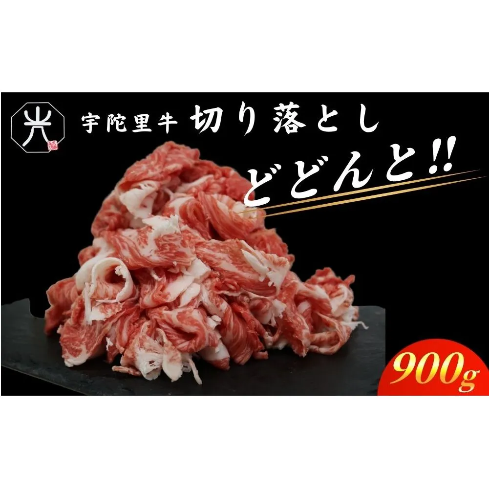 チルド 大和 宇陀里牛 切り落とし ドドンと 約900g ／ ふるさと納税 ふるさと 牛肉 肉 和牛 奈良県 宇陀市 光福久屋