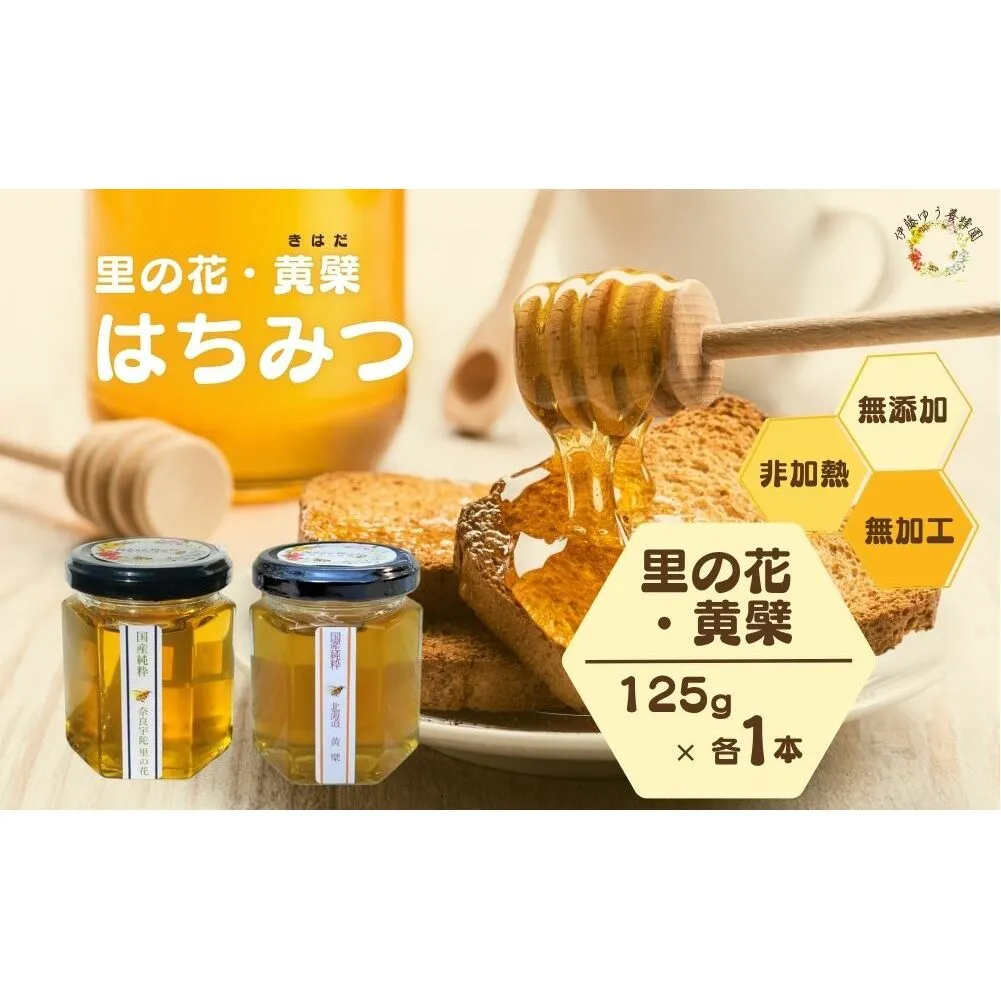 国産 純粋 はちみつ 里の花 125g 黄檗 125g (各1本)／ 蜂蜜 ハチミツ 非加熱 無添加 無加工 百花蜜 単花蜜 キハダ お取り寄せ 伊藤ゆう養蜂園 奈良県 宇陀市 ふるさと納税