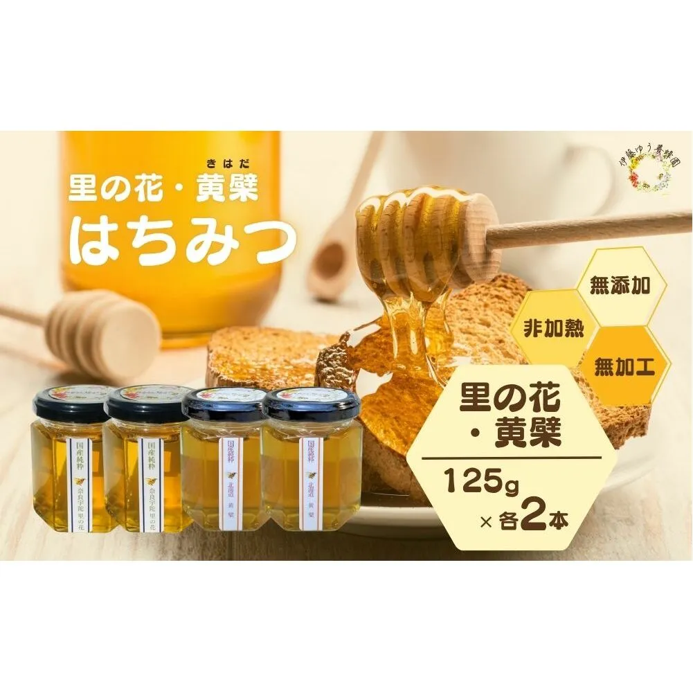 国産 純粋 はちみつ 里の花 125g 黄檗 125g (各2本)／ 蜂蜜 ハチミツ 非加熱 無添加 無加工 百花蜜 単花蜜 キハダ お取り寄せ 伊藤ゆう養蜂園 奈良県 宇陀市 ふるさと納税
