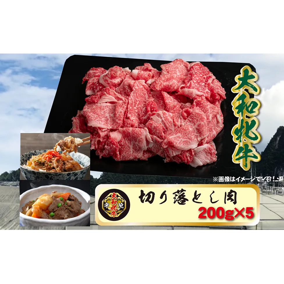 (冷凍) 大和牝牛 切り落とし肉 200g×5 YMKO1 ／牛丼 肉じゃが 焼肉 バーベキュー アウトドア キャンプ 贈答用 贈り物 太田家 奈良県 宇陀市 ふるさと納税