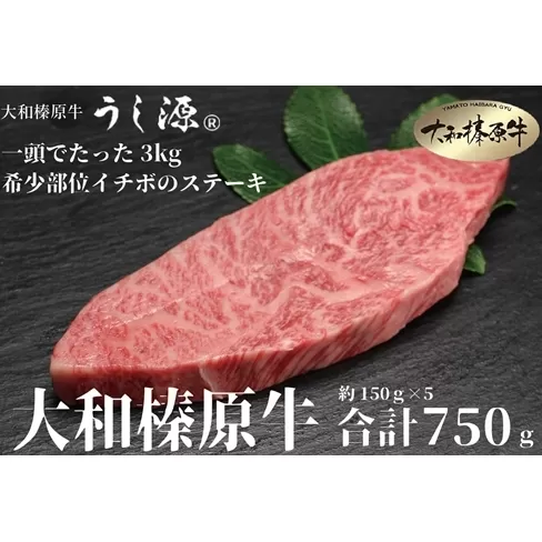 （冷凍） 大和榛原牛 稀少部位 赤身 もも イチボ ステーキ 150ｇ×5枚 計750ｇ ／ うし源 本店 A5 父の日 焼肉 バーベキュー キャンプ 奈良県 宇陀市 お中元 贈答用 贈り物 暑中見舞い お土産 お歳暮 内祝いまとめ買い 美味しい部位 キャンプ 送料無料 正月
