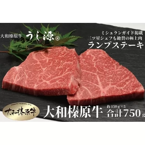 （冷凍） 大和榛原牛 稀少部位 赤身 あっさり もも ランプ ステーキ 150ｇ×5枚 計750ｇ ／ うし源 本店 ふるさと納税 A5 父の日 キャンプ バーベキュー 奈良県 宇陀市 お中元 贈答用 贈り物 暑中見舞い お土産 お歳暮 内祝いまとめ買い 美味しい部位 キャンプ 送料無料 正月