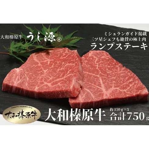 （冷凍） 大和榛原牛 稀少部位 赤身 あっさり もも ランプ ステーキ 150ｇ×5枚 計750ｇ ／ うし源 本店 ふるさと納税 A5 父の日 キャンプ バーベキュー 奈良県 宇陀市 お中元 贈答用 贈り物 暑中見舞い お土産 お歳暮 内祝いまとめ買い 美味しい部位 キャンプ 送料無料 正月