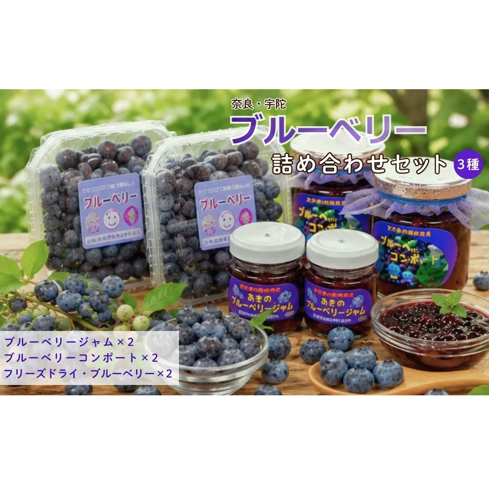 ブルーベリー詰め合わせセット