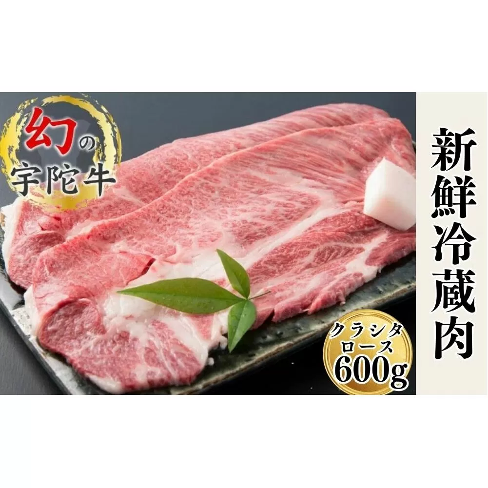 特産 認定肉 宇陀牛 クラシタ ロース 大判 焼肉 約600g 国産 黒毛和牛 チルド / 山繁 ふるさと納税 牛肉 レア 人気 肉マニア 寄付 ランキング おすすめ グルメ 肉 返礼品 送料無料 