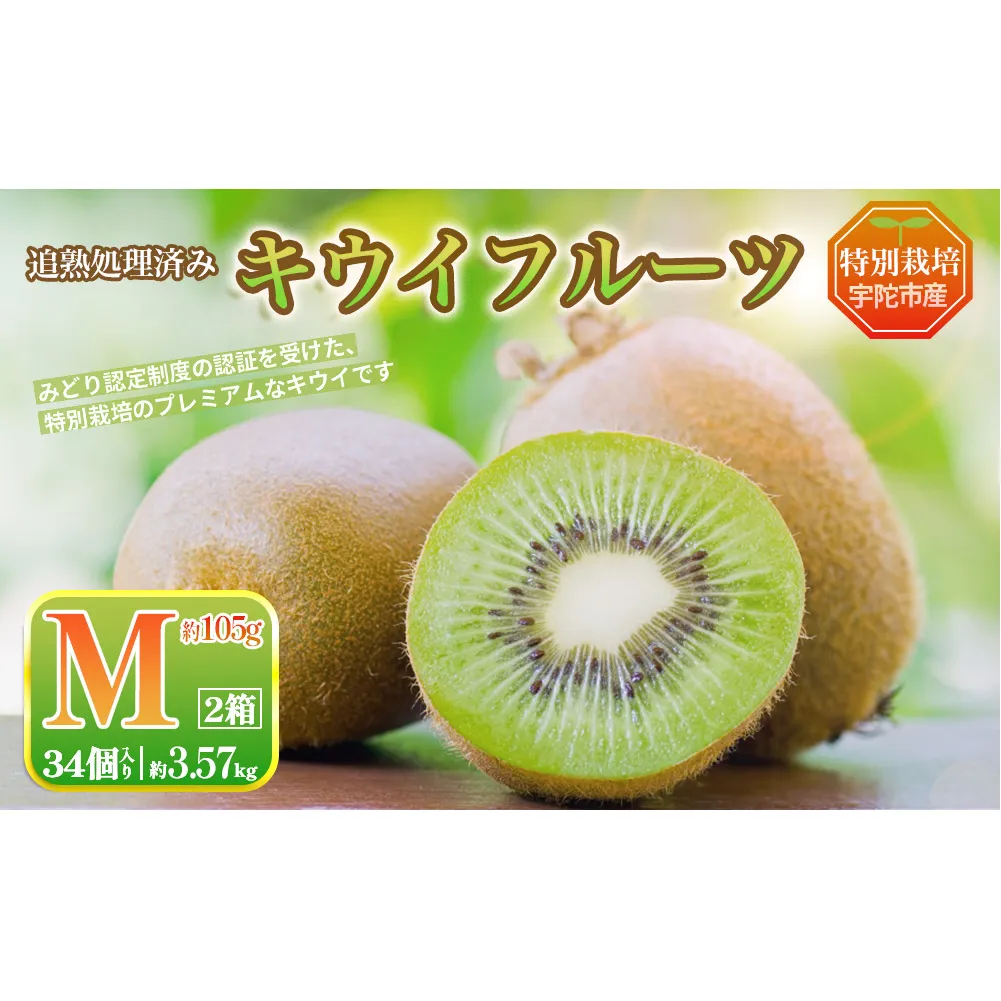 ＜2026年12月～3月順次発送＞ こだわり プレミアムキウイフルーツ Mサイズ 17個×2箱入 追熟処理済／ ふるさと納税 キウイ キウイフルーツ ギフト 栄養 果物 お土産 化学肥料不使用 特別栽培 塩 奈良県 宇陀市 やまとファームJAPAN