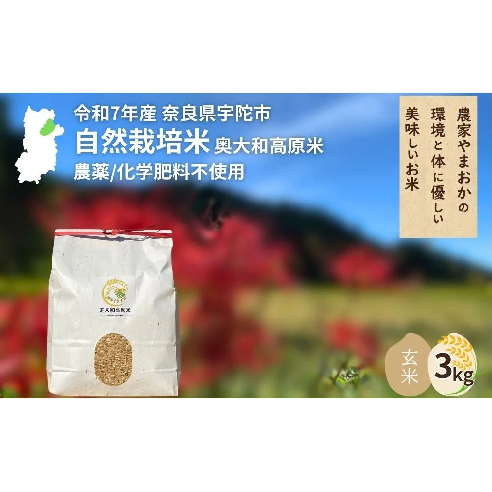 ＜令和7年産・先行予約＞自然栽培米 玄米 3kg 9月末より順次発送 ／ ふるさと納税 無農薬 米 お米 こめ コメ 国産 新米 玄米 農家やまおか 奈良県 宇陀市
