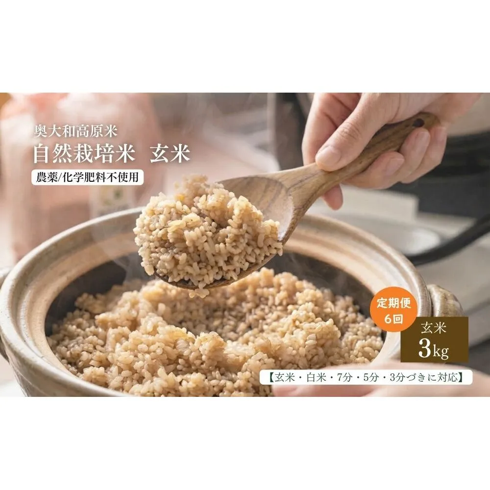 【定期便6回】【令和8年産】自然栽培米 3kg｜選べる 玄米・分づき・白米／ 無農薬 米 お米 一等米 こめ コメ 国産 新米 玄米 農家やまおか 除草剤 肥料不使用 奈良県 宇陀市 ふるさと納税