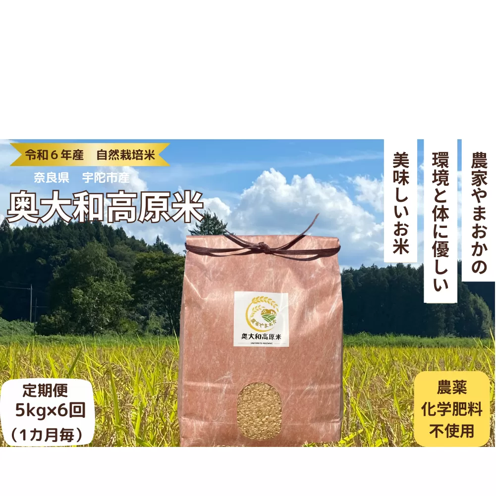 ★自然栽培米 ★定期便 毎月６回★新米 【令和6年産 】玄米 5kg ９月末より順次発送/自然栽培米 新米 令和6年産 玄米  農家やまおか 無農薬 国産 お米 奈良県 宇陀市 送料無料 ふるさと納税 新米