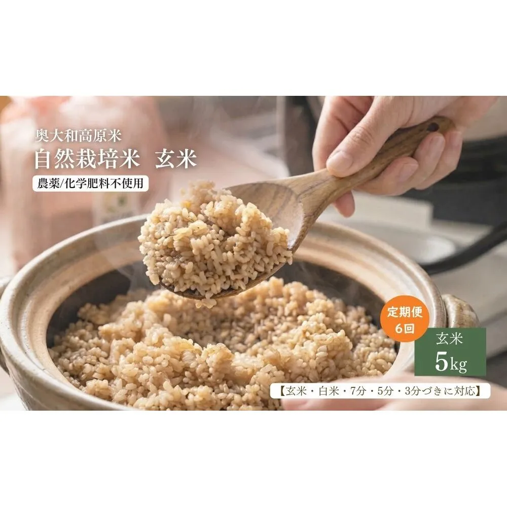 【定期便6回】【令和8年産】自然栽培米 5kg｜選べる 玄米・分づき・白米／ 無農薬 米 お米 一等米 こめ コメ 国産 新米 玄米 農家やまおか 除草剤 肥料不使用 奈良県 宇陀市 ふるさと納税