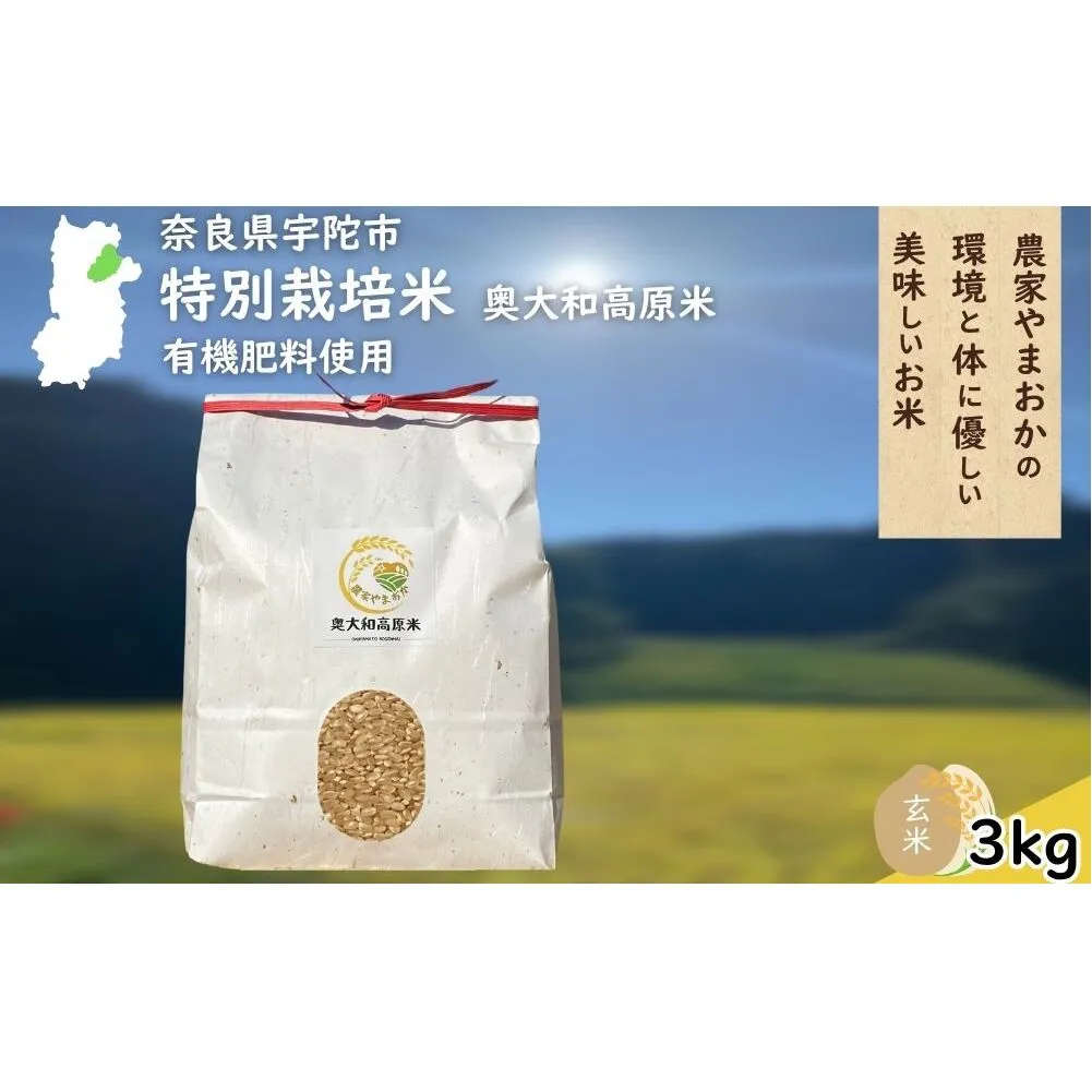特別栽培米 ＜令和7年産 玄米 3kg＞ / ふるさと納税 栽培期間中農薬不使用 米 お米 こめ コメ 国産 新米 玄米 農家やまおか 奈良県 宇陀市