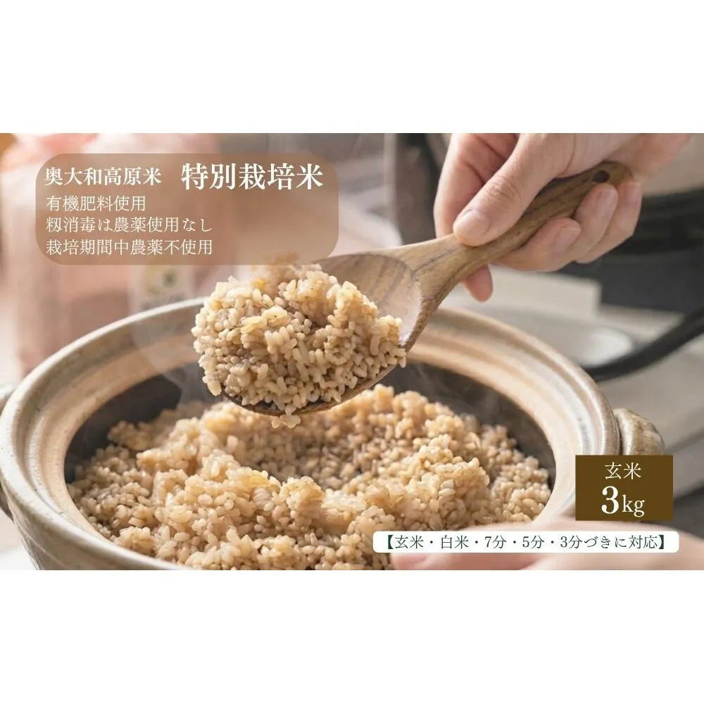 【令和8年産】特別栽培米｜3kg｜玄米・分づき・白米｜単発 / お米 こめ コメ 米 定期便 国産 おにぎり 新米 玄米 一等米 農家やまおか 奈良県 宇陀市 ふるさと納税