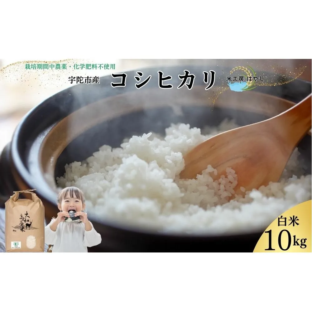 <掲載中止>令和6年宇陀市産 栽培期間中無農薬・無化学肥料米 白米10kg / ふるさと納税 米 こめ お米 お取り寄せ 美味しい ブランド オススメ 産地 大和高原 精米済 送料無料 奈良 宇陀 令和6年 新米 白米 コシヒカリ 米工房はやし