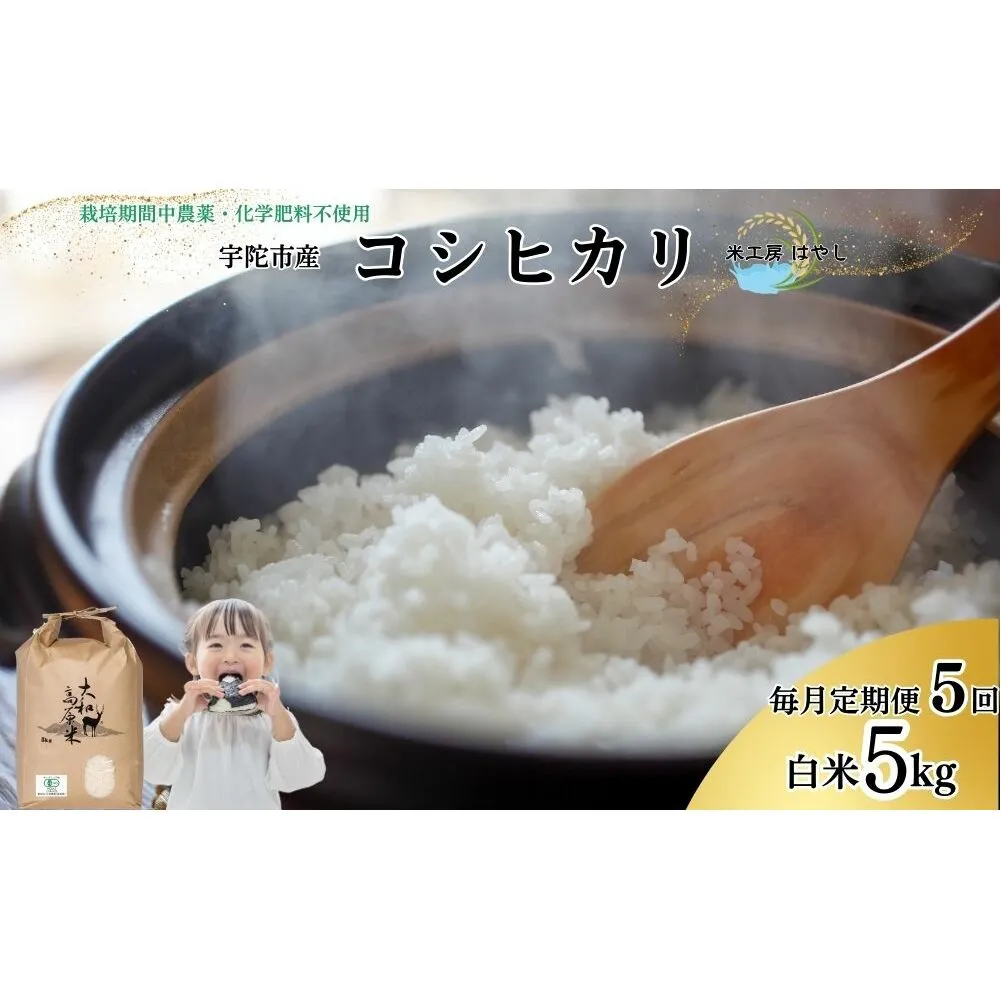 <掲載中止>【毎月定期便5回】令和6年宇陀市産 栽培期間中無農薬・無化学肥料米 白米5kg / ふるさと納税 米 こめ お米 お取り寄せ 美味しい ブランド オススメ 産地 大和高原 精米済 送料無料 奈良 宇陀 令和6年 新米 白米 コシヒカリ 米工房はやし