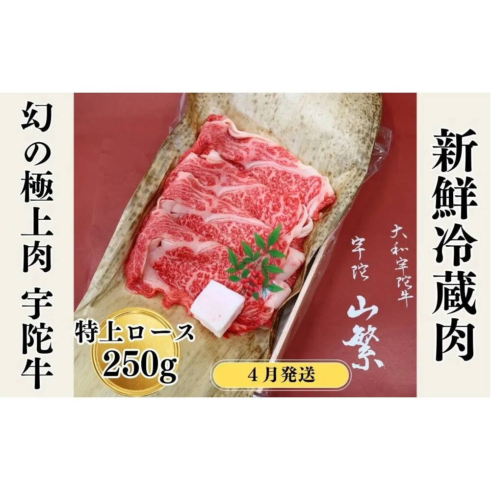 ＜2026年4月発送＞名産 認定肉 宇陀牛 国産 黒毛和牛 特上 ロース すき焼き 約250g チルド / 宇陀 山繁 ふるさと納税 牛肉 人気 ギフト 寄付 ランキング おすすめ グルメ 肉 返礼品 商品 送料無料 送料込