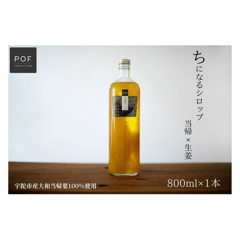 ちになるシロップ 大和当帰×生姜 800ml 1本／POWER OF FOOD ふるさと納税 生姜 シロップ 瓶  ガラス瓶 国産 食材 炭酸 大和当帰葉 有機 お湯割り 甜菜糖 ハチミツ はちみつ 送料無料 ち 奈良県 宇陀市