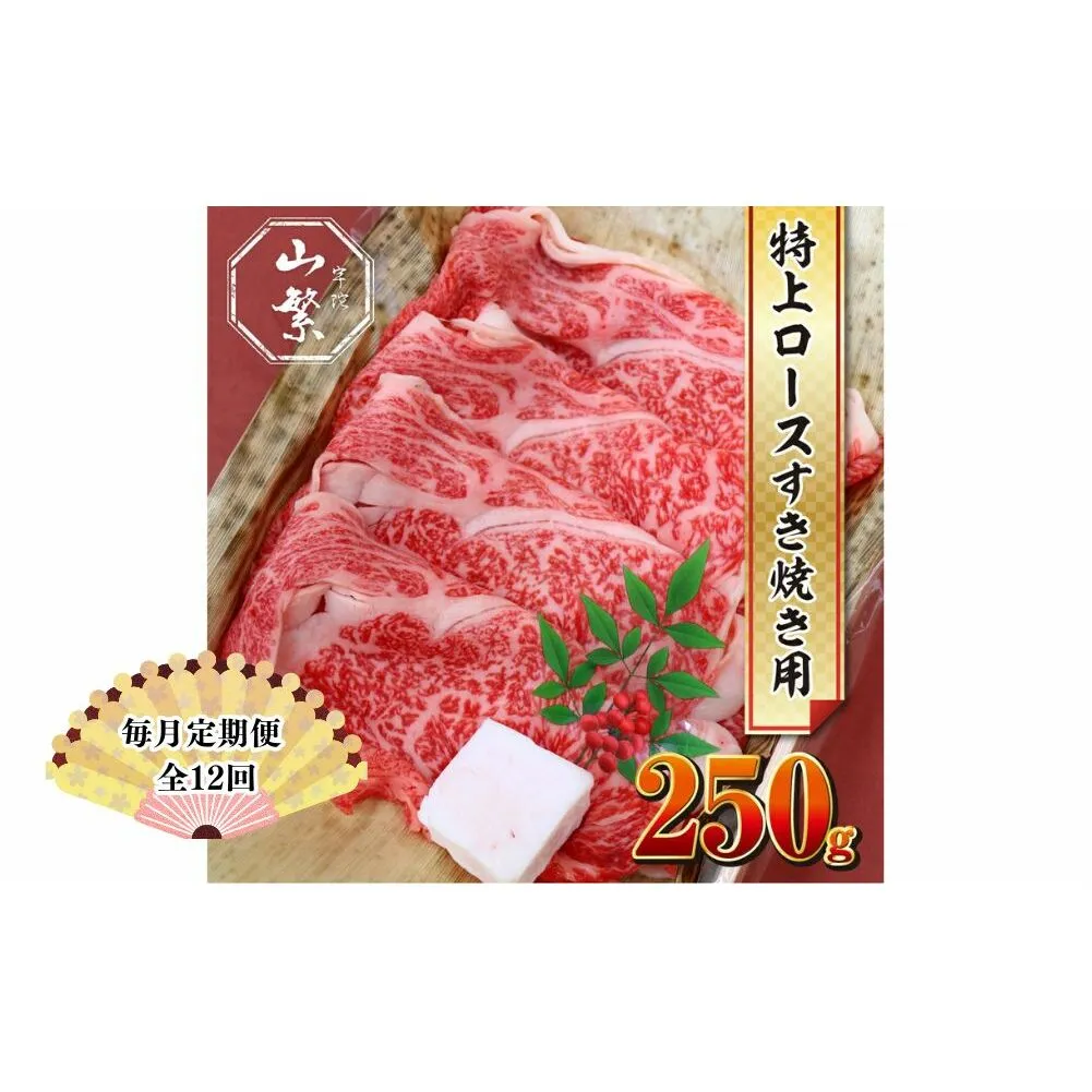 【毎月定期便全12回 】名産 認定肉 宇陀牛 国産 黒毛和牛 特上 ロース すき焼き 約250g チルド / 宇陀 山繁 ふるさと納税 牛肉 人気 ギフト 寄付 ランキング おすすめ グルメ 肉 返礼品