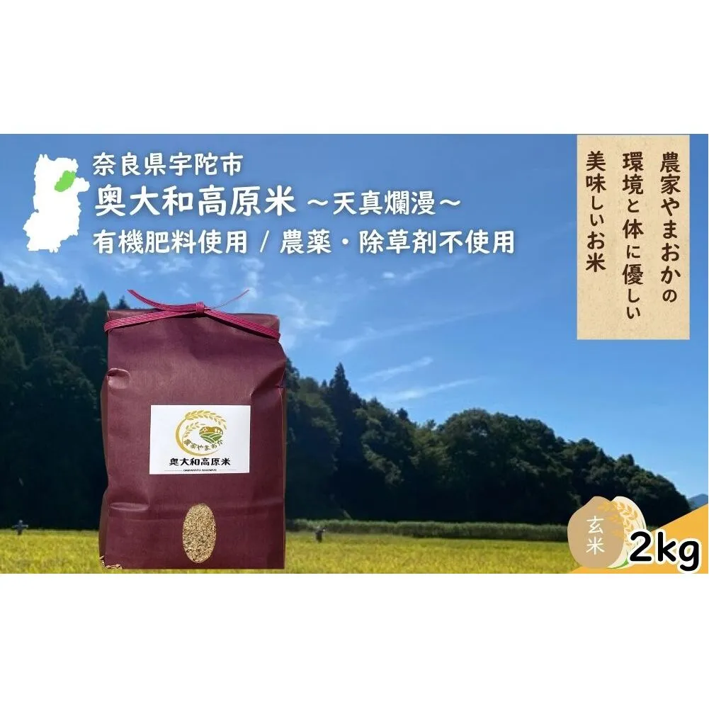 天真爛漫 奥大和高原米 ＜令和7年産 玄米 2kg＞ ／ ふるさと納税 無農薬 米 お米 こめ コメ 国産 新米 玄米 一等米 農家やまおか 有機肥料使用 農薬不使用 除草剤不使用 奈良県 宇陀市