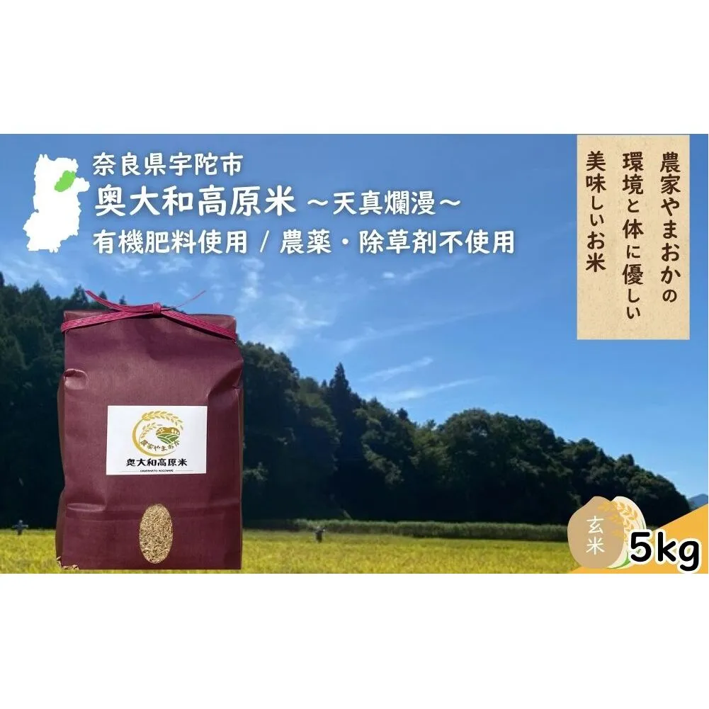 天真爛漫 奥大和高原米 ＜令和7年産 玄米 5kg＞ ／ ふるさと納税 無農薬 米 お米 こめ コメ 国産 新米 玄米 一等米 農家やまおか 有機肥料使用 農薬不使用 除草剤不使用 奈良県 宇陀