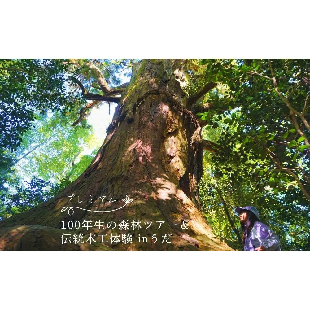 100年生の 森林ツアー ＆ 伝統木工体験 inうだ プレミアム／ 体験 関西 子供 親子 チケット 森林浴 ハイキング 木工体験 伝統工芸 林業 夏休み 宿題 MORITO 森庄 森庄銘木産業 奈良県 宇陀市 ふるさと納税
