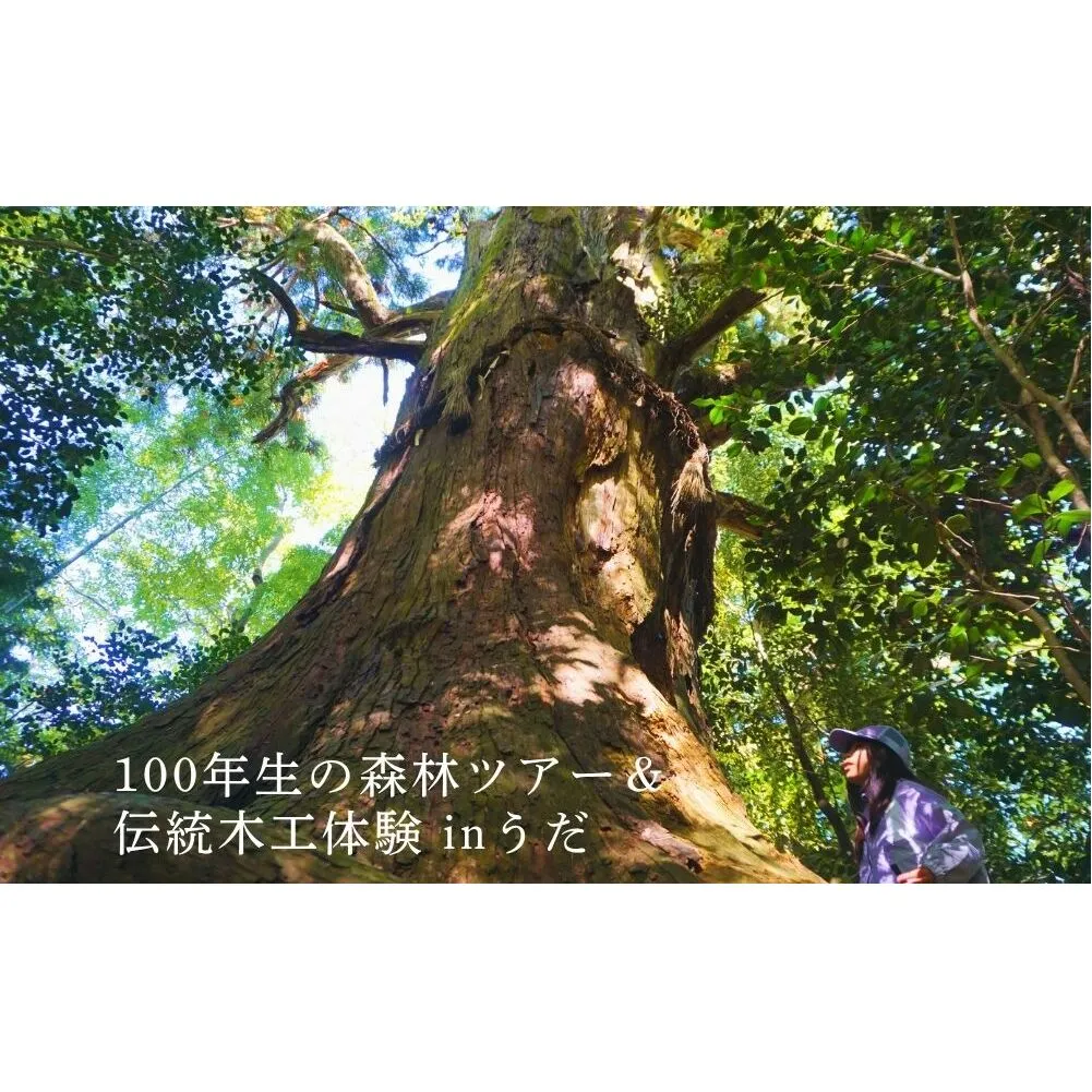100年生の 森林ツアー ＆ 伝統木工体験 inうだ 2025夏／ 体験 関西 子供 親子 チケット 森林浴 ハイキング 木工体験 伝統工芸 林業 夏休み 宿題 MORITO 森庄 森庄銘木産業 奈良県 宇陀市 ふるさと納税