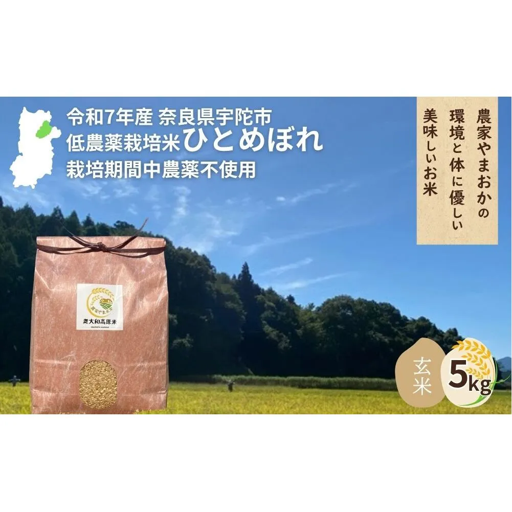 ＜令和7年産・先行予約＞ひとめぼれ 玄米 5kg 9月末より順次発送 ／ ふるさと納税 低農薬 米 お米 こめ コメ 国産 新米 玄米 農家やまおか 奈良県 宇陀市