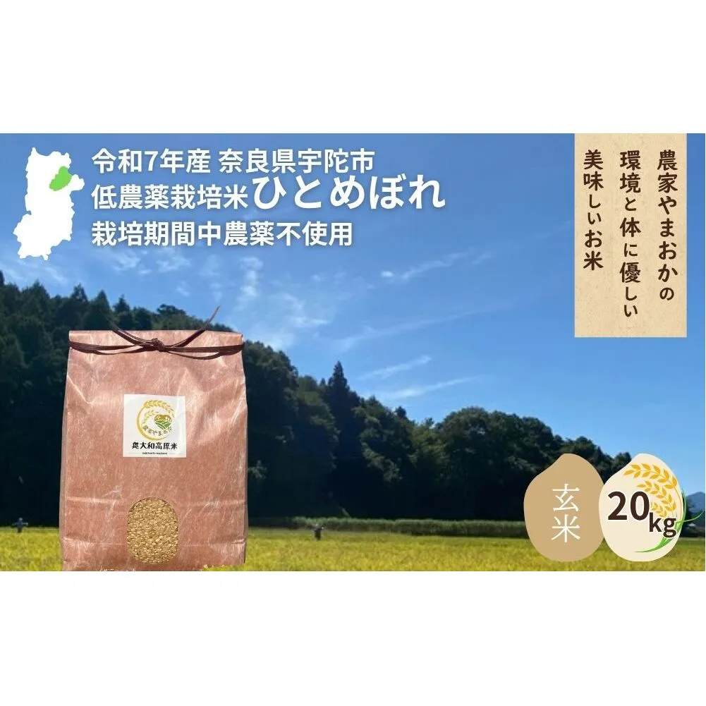 ＜令和7年産・先行予約＞ひとめぼれ 玄米 20kg 9月末より順次発送 ／ ふるさと納税 低農薬 米 お米 こめ コメ 国産 新米 玄米  農家やまおか 奈良県 宇陀市