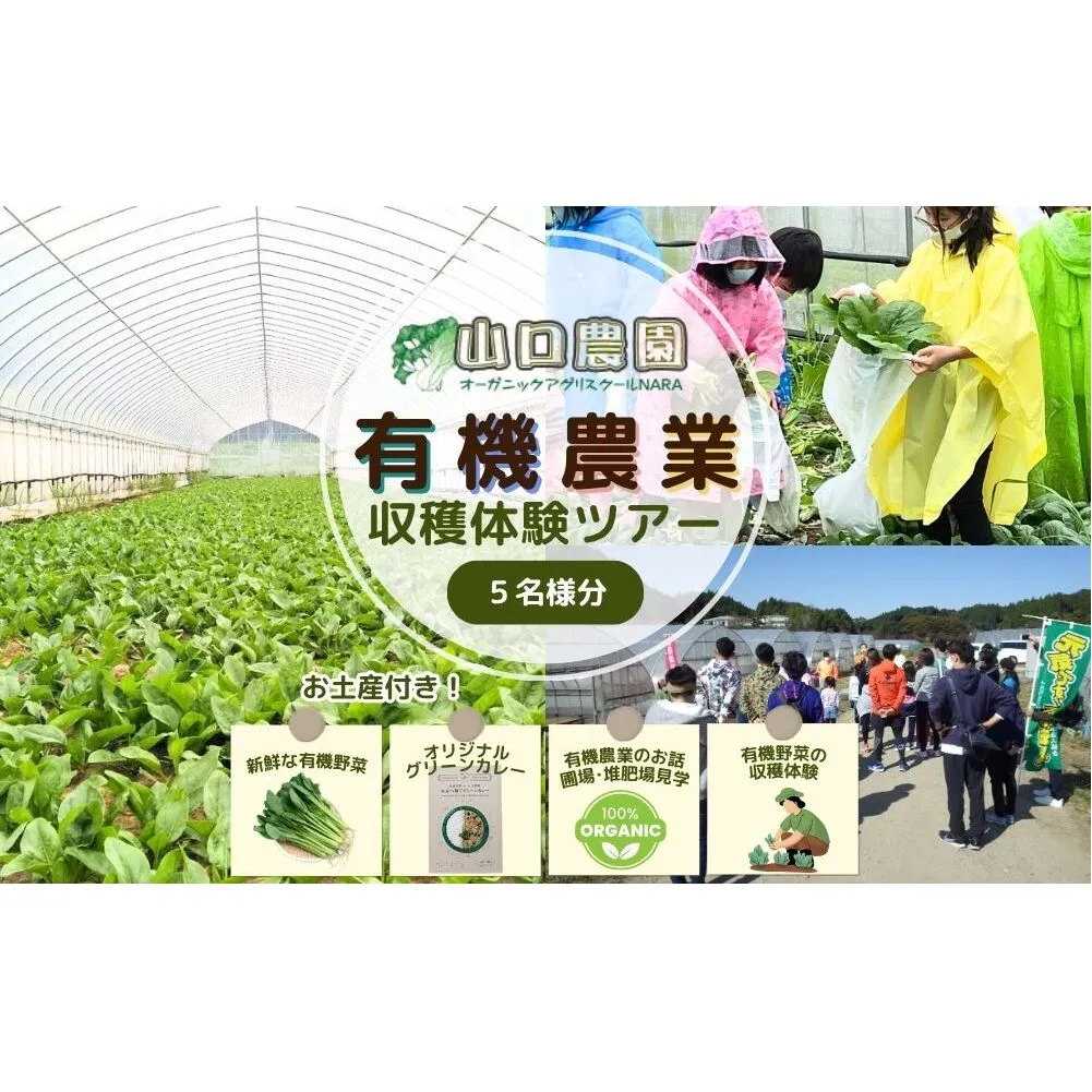 有機農業 収穫体験 ツアー お土産付 5名様迄／ 農家 有機野菜 オーガニック 無農薬 SDGs 関西 チケット カレー 山口農園 奈良県 宇陀市 ふるさと納税