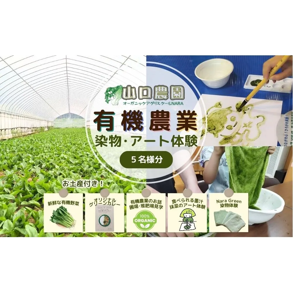 有機農業 染物 アート 体験 お土産付 5名様迄／ 畑見学 食べられる染料 Nara Green 抹菜 農家 有機野菜 オーガニック 無農薬 SDGs 関西 チケット カレー 山口農園 奈良県 宇陀市 ふるさと納税