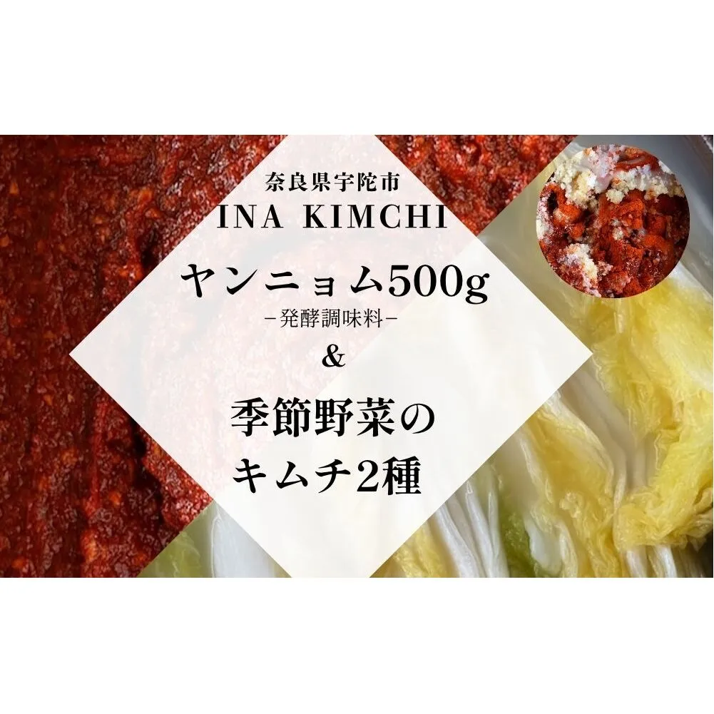 ヤンニョム500g ＆季節野菜のキムチ2種（各500g）／ ふるさと納税 キムチ ヤンニョムソース 赤キムチ 白キムチ 料理 グルメ INA Lab INA KIMCHI 取り寄せ 室生 奈良県 宇陀市