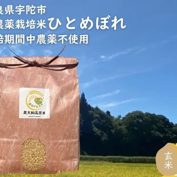ひとめぼれ 低農薬栽培＜令和7年産 玄米 3kg ＞ / ふるさと納税 低農薬 米 お米 こめ コメ 国産 新米 玄米 一等米 農家やまおか 奈良県 宇陀市