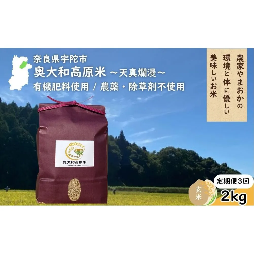 【定期便3回】天真爛漫 奥大和高原米 <令和7年産 玄米 2kg> / ふるさと納税 無農薬 米 お米 こめ コメ 国産 新米 玄米 一等米 農家やまおか 有機肥料使用 農薬不使用 除草剤不使用 奈良県 宇陀市