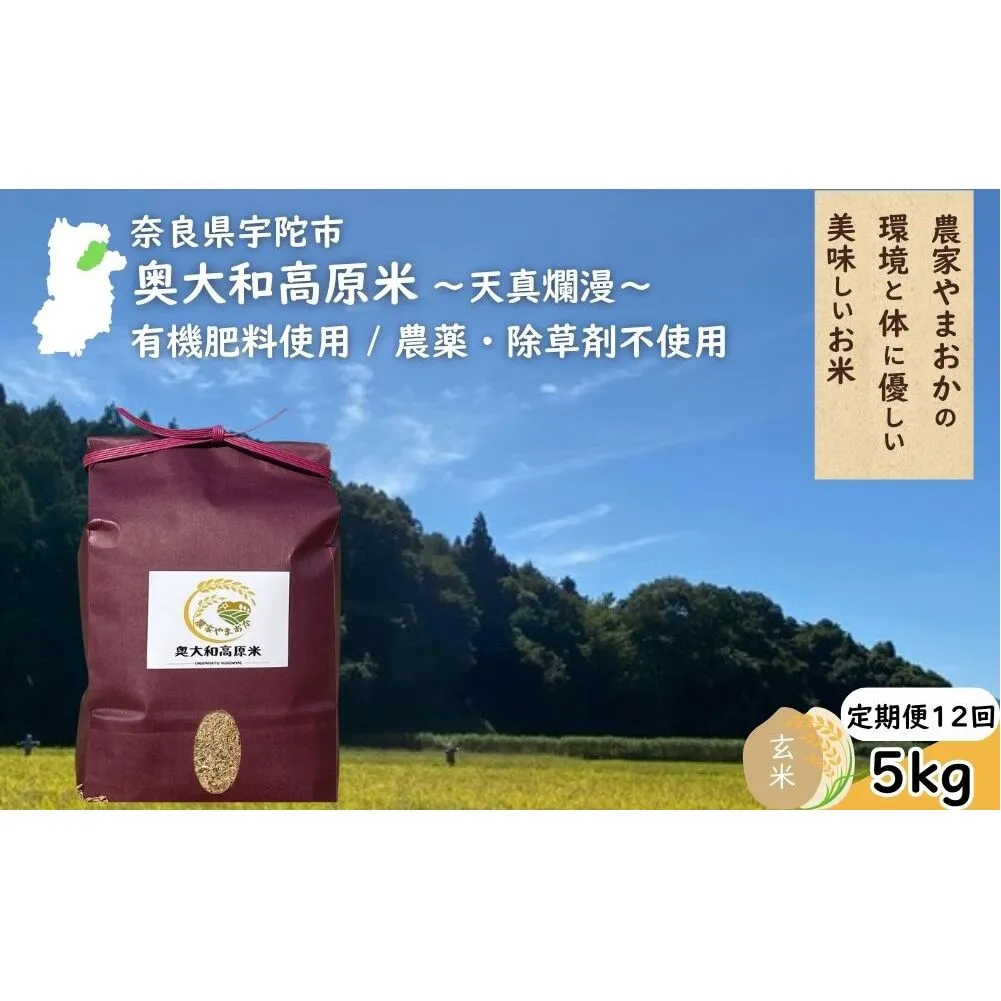 【定期便12回】天真爛漫 奥大和高原米  ＜令和7年産 玄米 5kg＞ ／ ふるさと納税 無農薬 米 お米 こめ コメ 国産 新米 玄米 一等米 農家やまおか 有機肥料使用 農薬不使用 除草剤不使用 奈良県 宇陀市