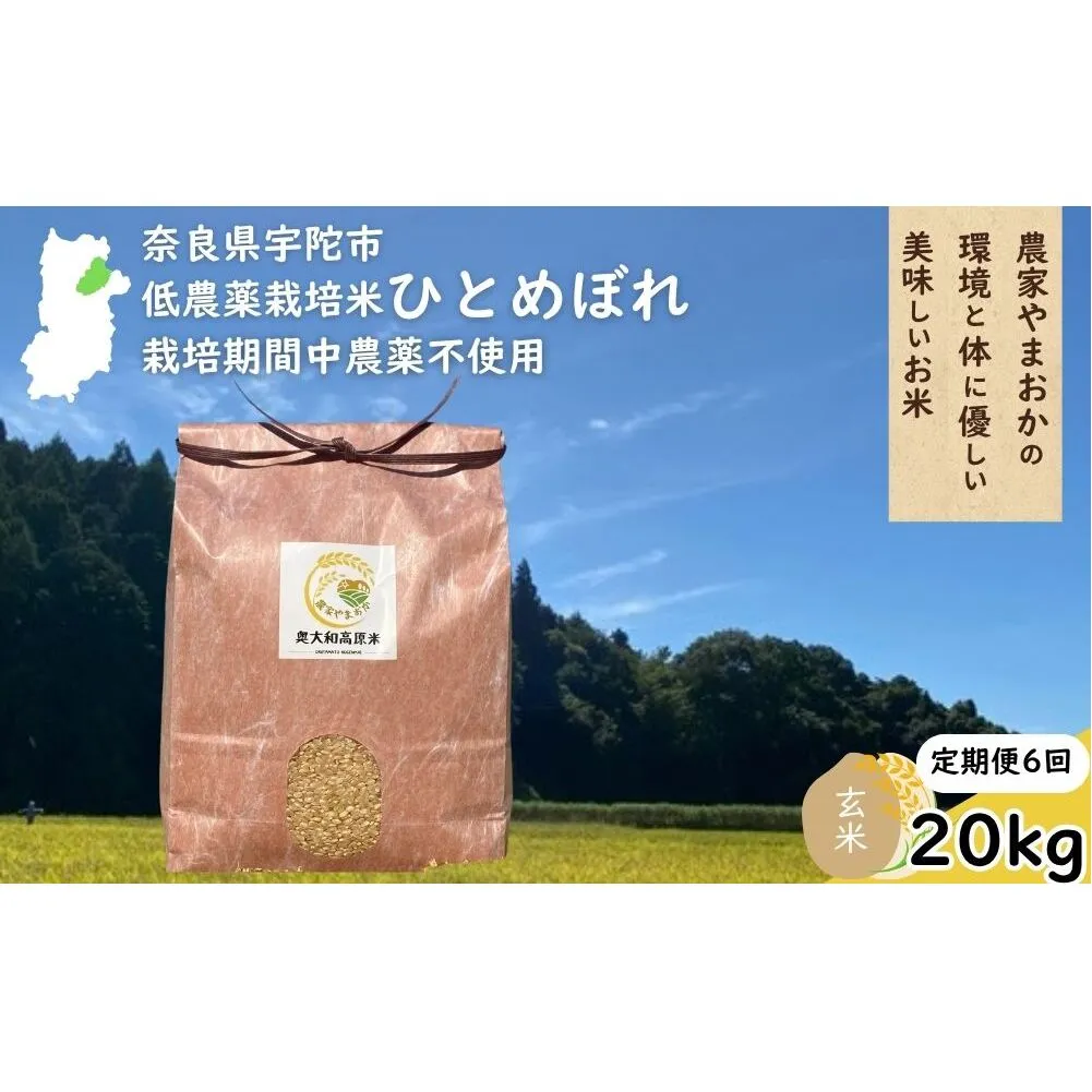 【定期便6回】ひとめぼれ 低農薬栽培＜令和7年産 玄米 20kg ＞ / ふるさと納税 低農薬 米 お米 こめ コメ 国産 新米 玄米 一等米 農家やまおか 奈良県 宇陀市