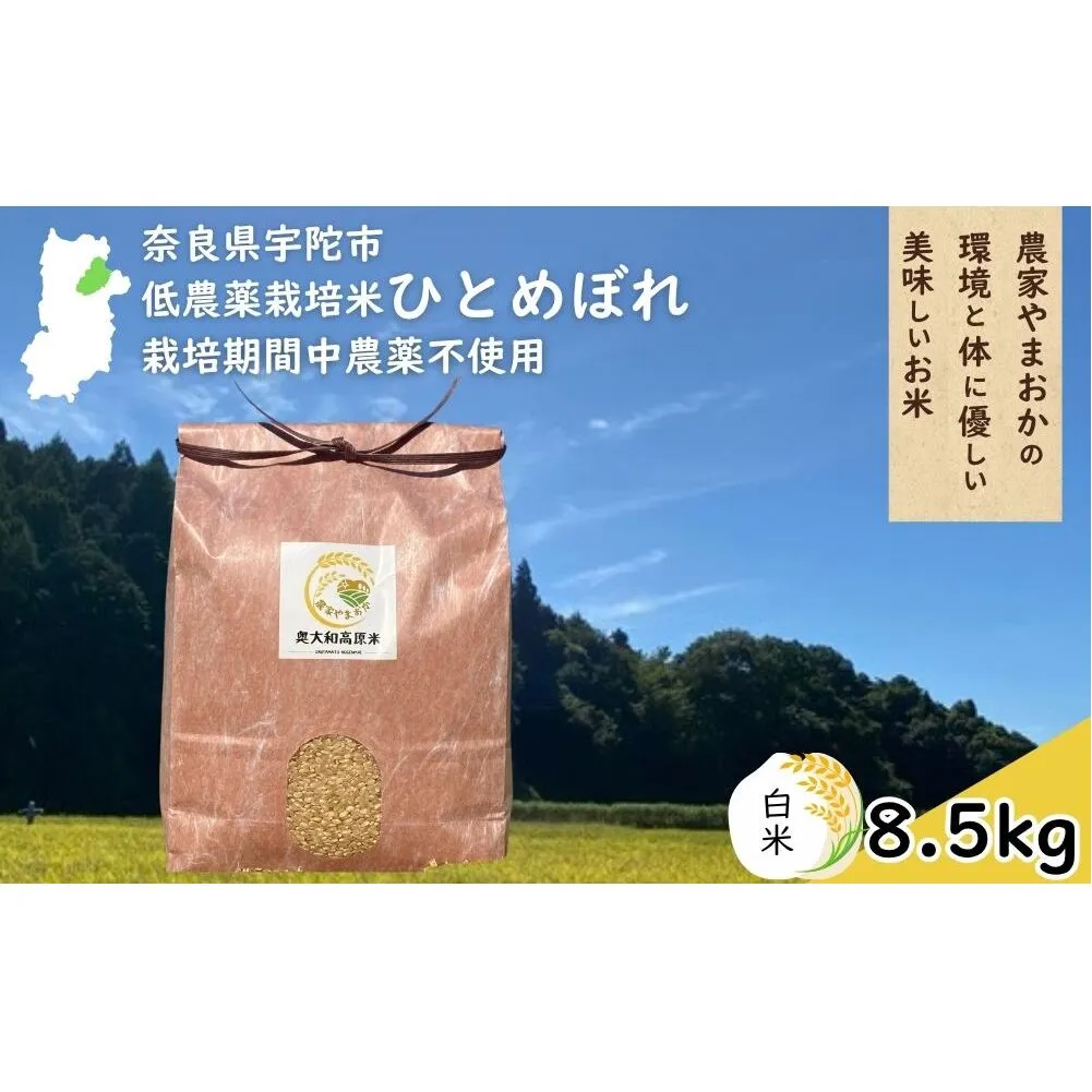 ひとめぼれ 低農薬栽培＜令和7年産 白米 8.5kg ＞ / ふるさと納税 低農薬 米 お米 こめ コメ 国産 新米 玄米 一等米 農家やまおか 奈良県 宇陀市