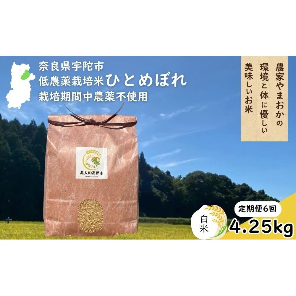 【定期便6回】ひとめぼれ 低農薬栽培<令和7年産 白米 4.25kg > / ふるさと納税 低農薬 米 お米 こめ コメ 国産 新米 玄米 一等米 農家やまおか 奈良県 宇陀市