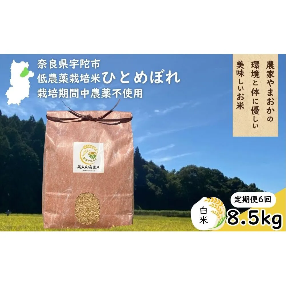 【定期便6回】ひとめぼれ 低農薬栽培<令和7年産 白米 8.5kg > / ふるさと納税 低農薬 米 お米 こめ コメ 国産 新米 玄米 一等米 農家やまおか 奈良県 宇陀市