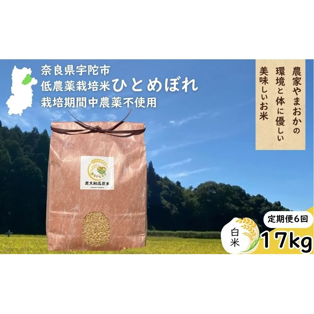 【定期便6回】ひとめぼれ 低農薬栽培<令和7年産 白米 17kg > / ふるさと納税 低農薬 米 お米 こめ コメ 国産 新米 玄米 一等米 農家やまおか 奈良県 宇陀市