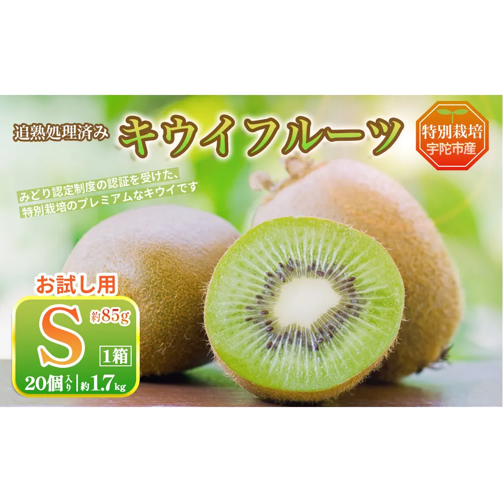 ＜12月〜3月発送＞プレミアム キウイ フルーツ Sサイズ 20個入 お試し 追熟処理済 ／ ふるさと納税 キウイ キウイフルーツ 訳あり 栄養 果物 化学肥料不使用 特別栽培 奈良県 宇陀市 やまとファームJAPAN