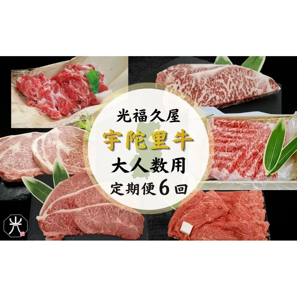 【宇陀里牛 定期便6回 (大人数向け) 】黒毛和牛セット ／ふるさと納税 大容量 宇陀里牛 黒毛和牛 牛肉セット 焼肉 ステーキ すき焼き 6回配送 国産和牛 光福久屋 奈良県 宇陀市