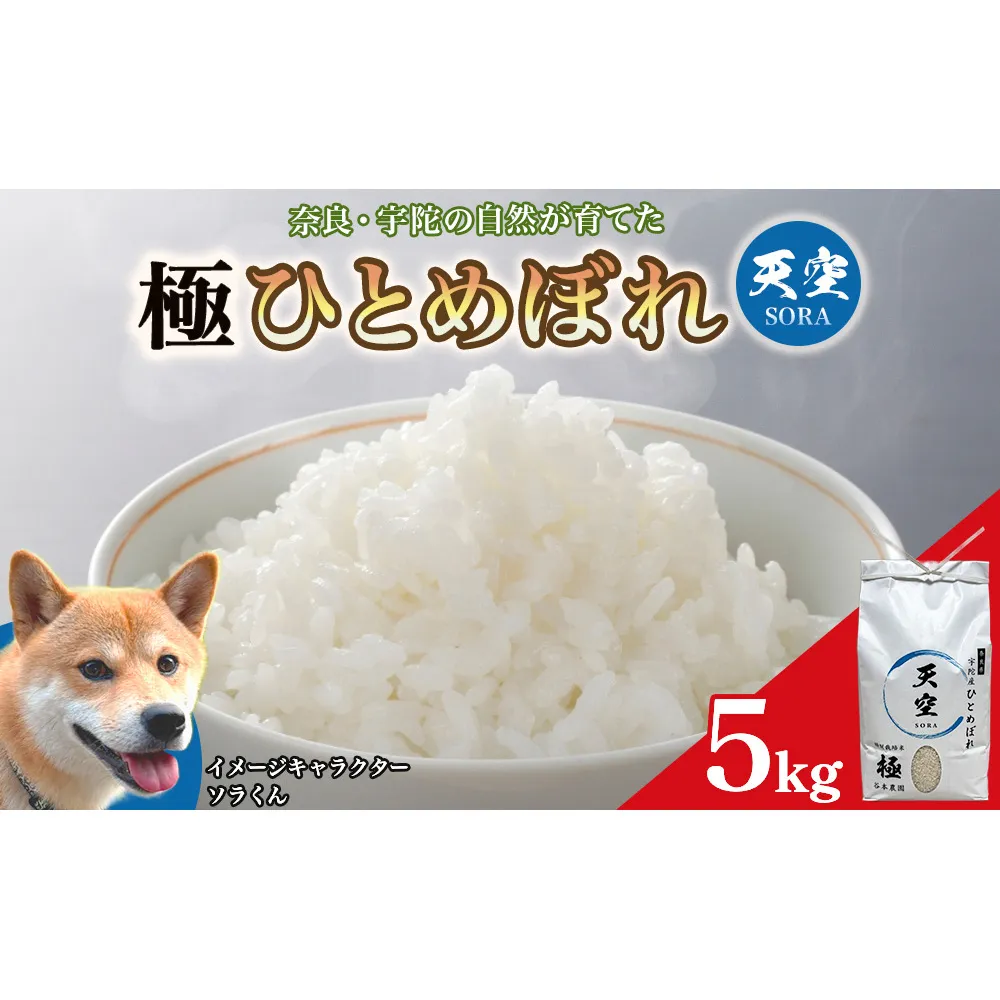 宇陀の自然が育てた 天空【sora】極 ひとめぼれ 5kg｜特別栽培米・奈良県宇陀産 白米