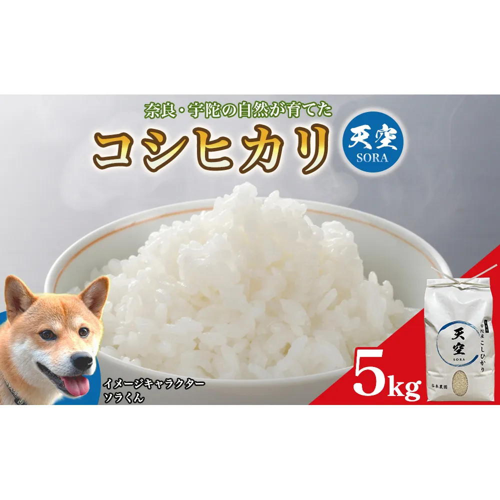 宇陀の自然が育てた 天空【sora】コシヒカリ 5kg｜奈良県宇陀産 白米
