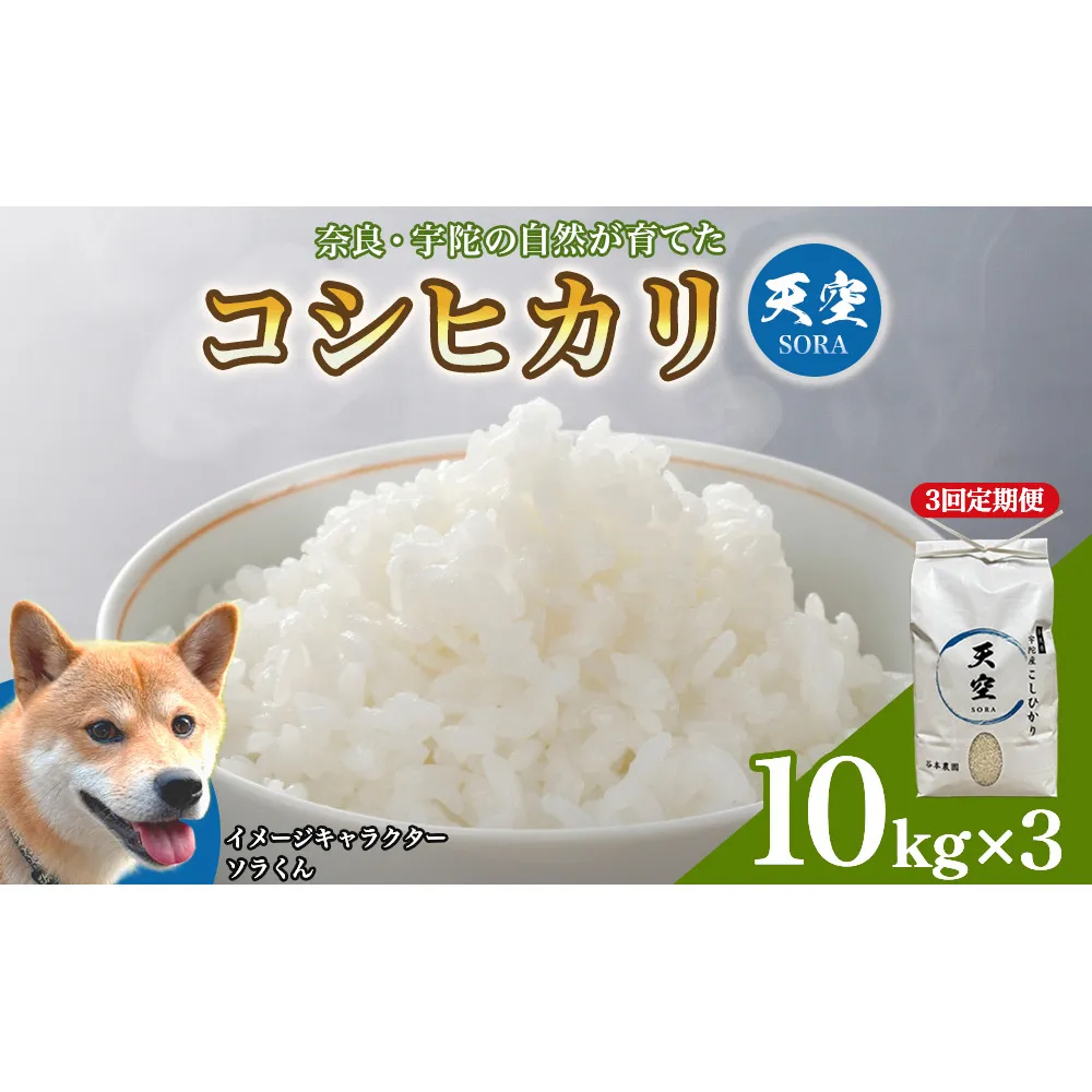 宇陀の自然が育てた 天空【sora】コシヒカリ 定期便 10kg×3回｜奈良県宇陀産 白米