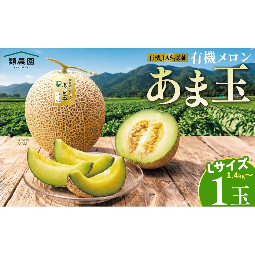 【期間限定】有機メロン「あま玉」1玉 Lサイズ 1.4kg～【R8年7月15日より順次発送】