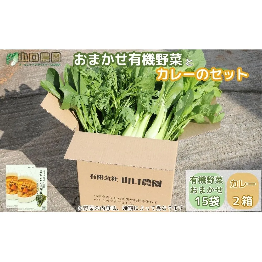 （チルド）山口農園 有機野菜 おまかせセット ＋ カレー２箱 詰合せ / ふるさと納税 山口農園 有機野菜 伝統野菜 オーガニック ベジタリアン 定期便 カレー 無農薬 野菜セット 農家直送  詰め合わせ 奈良県 宇陀市