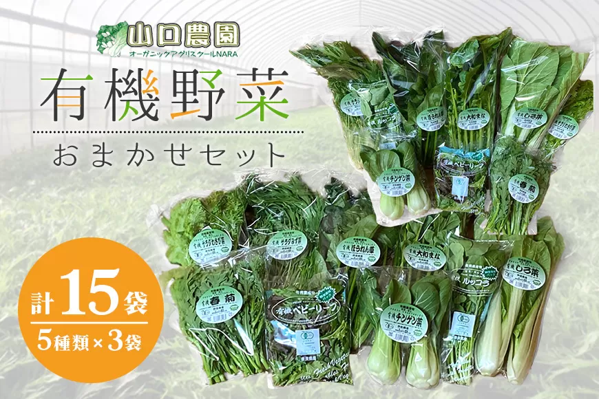 （チルド）山口農園　有機野菜　おまかせセット ／山口農園 有機野菜 伝統野菜 オーガニック ベジタリアン 無農薬 野菜セット 送料無料 無農薬 農家直送 ふるさと納税 詰め合わせ 奈良県 宇陀市 ふるさと納税 野菜 無農薬 