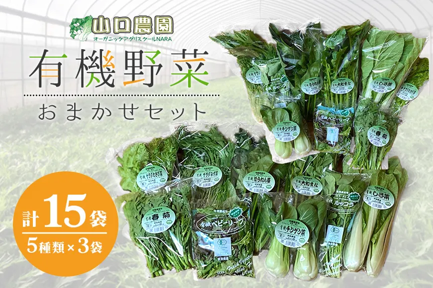 （チルド）山口農園 有機野菜 おまかせセット ／山口農園 有機野菜 伝統野菜 オーガニック ベジタリアン 無農薬 野菜セット 送料無料 無農薬 農家直送 ふるさと納税 詰め合わせ 奈良県 宇陀市 ふるさと納税 野菜 無農薬