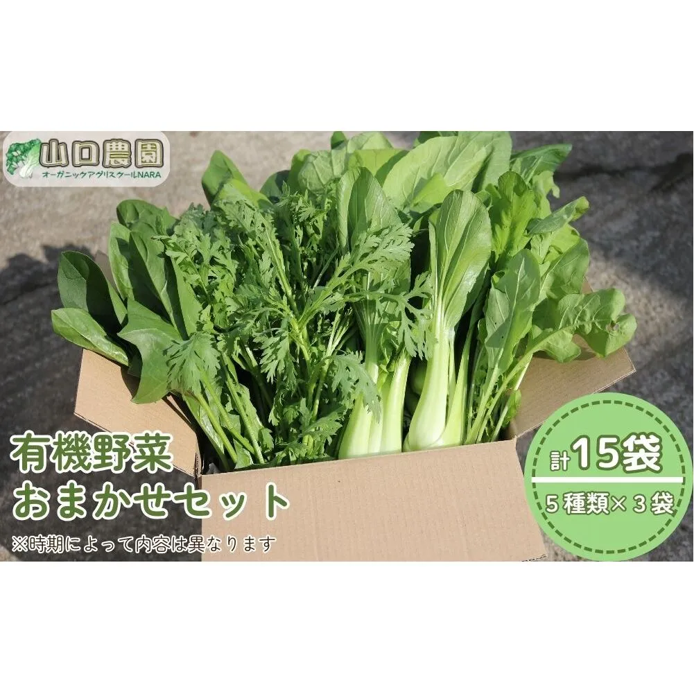 （チルド）山口農園 有機野菜 おまかせセット ／ふるさと納税 山口農園  伝統野菜 オーガニック ベジタリアン 無農薬 野菜セット  農家直送  詰め合わせ 奈良県 宇陀市